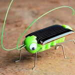 The DIY Solar Powered Grasshopper Robot Toy